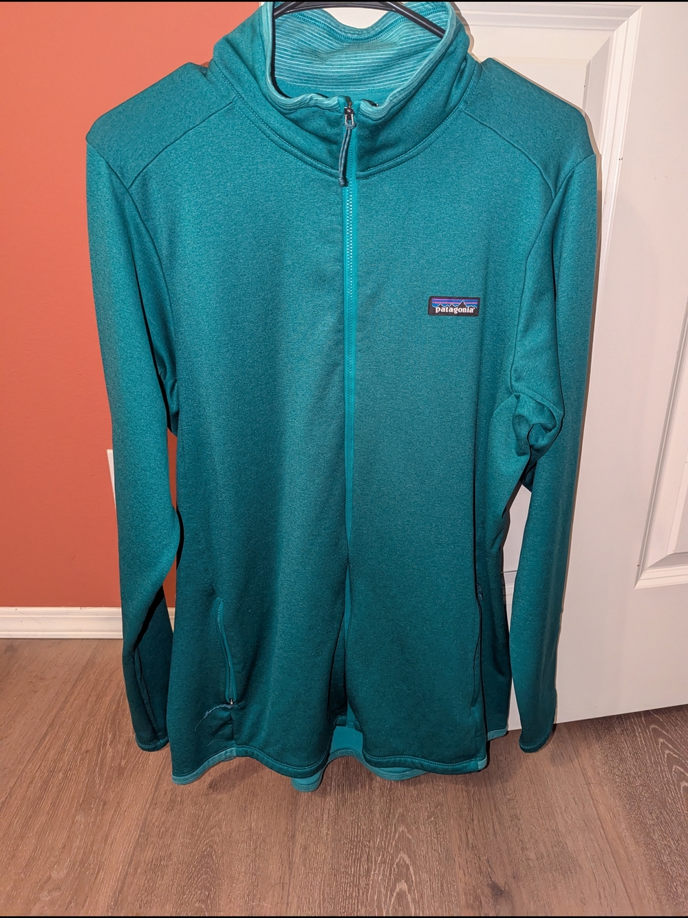 Patagonia Teal Lightweight Full-Zip Pullover